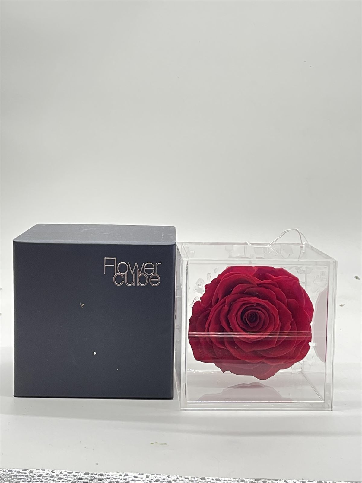Rosas eternas roja o azul con olor (flower cube) - Imagen 1