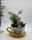Taza con plantas - Imagen 1