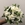 BOUQUET GARDENIA - Imagen 1