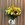 BOUQUET GIRASOL - Imagen 1