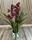 CYMBIDIUM - Imagen 1