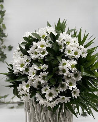 Flores para regalo - Lilas Floristas