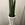 SANSEVIERIA - Imagen 1